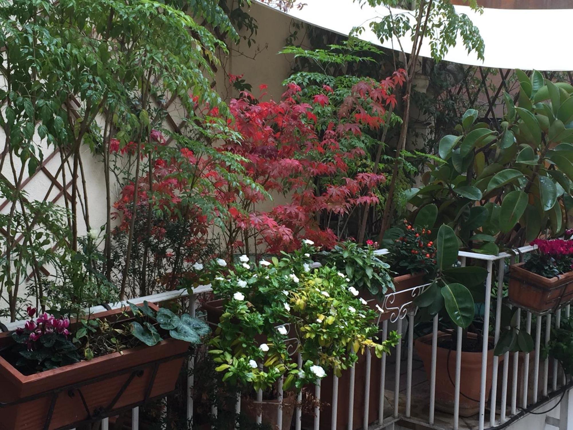 Relais Teatro Argentina Bed & Breakfast Rome Bagian luar foto